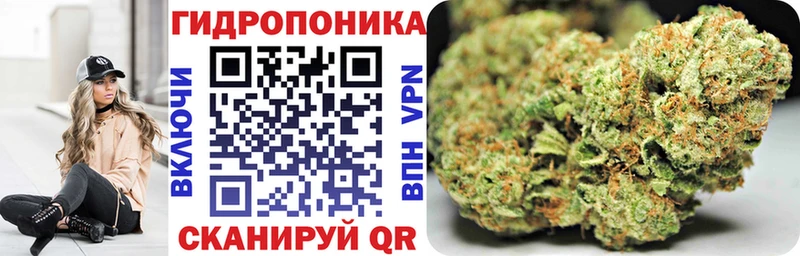 Конопля ГИДРОПОН  Томилино 